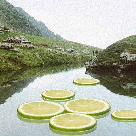 lime lily pads.jpg