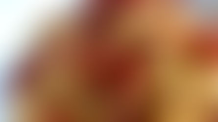 letter 7: pasta with fresh tomato sauce