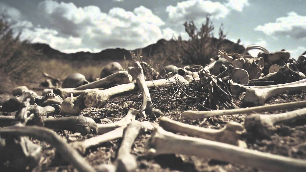 drybones.jpg