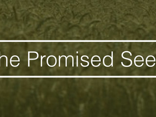 The Promised Seed