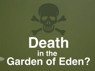 Did Death Exist in the Garden of Eden?
