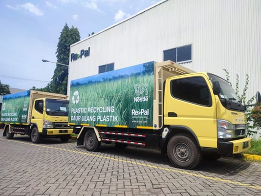The Hygiene Problem: What Are The Contamination Risks With Timber Pallets