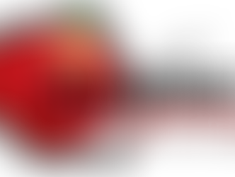 Importance of Student Attendance