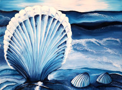 Seashells