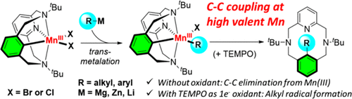 omcs 2021.gif