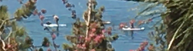 Paddle Boarders- 5 16 2020 - see lower s