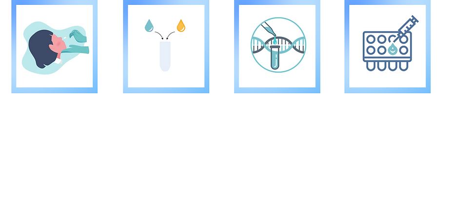 Product Application Workflow
