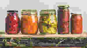 fermented foods