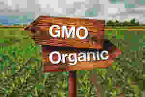 non-gmo