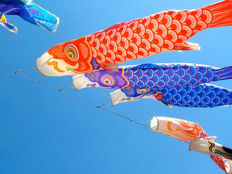 【大草に鯉のぼりを掲げよう！】