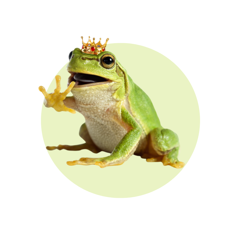 Design ohne Titel (7).png