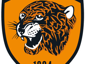 Opposition Profile: Hull City