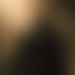 Un gardien en armure