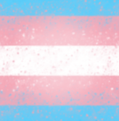 QUICKIE_BG_Trans.png