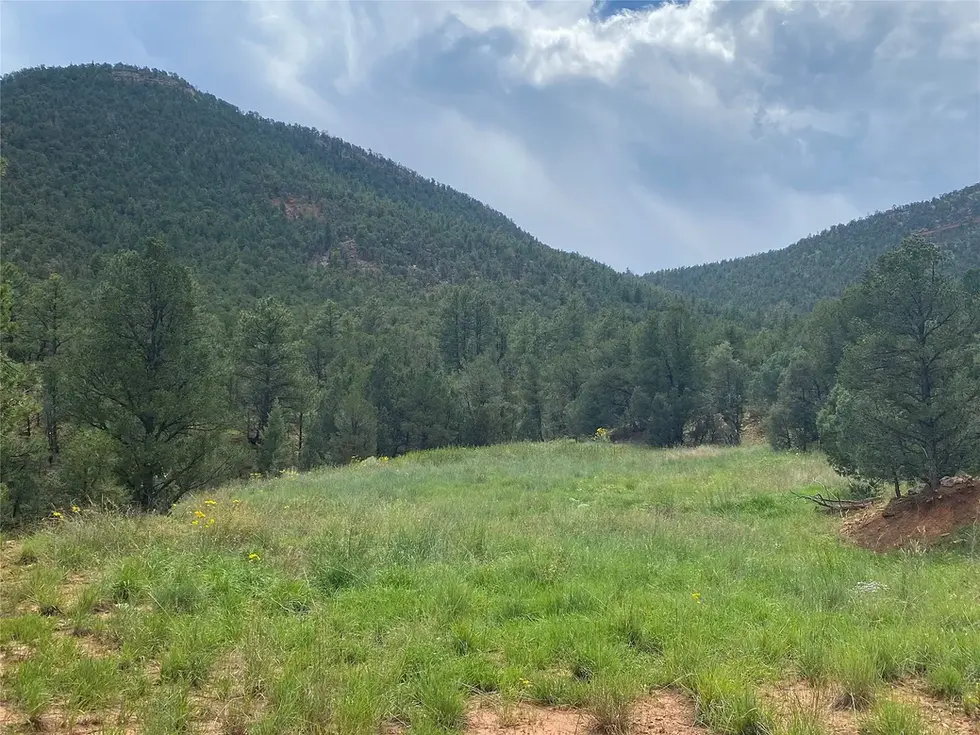 meadow