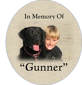Gunner Transparent.png