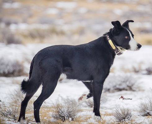 Mae Side Profile Best 2.jpg