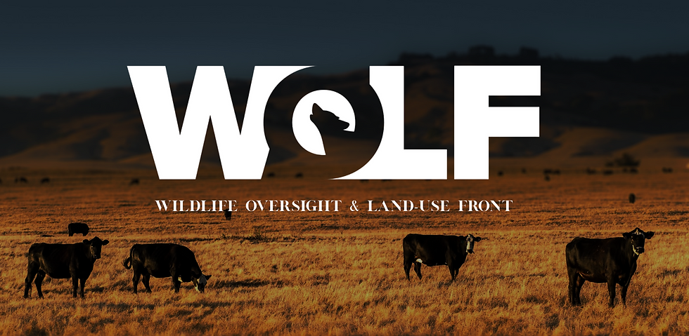 Wolf Logo with Pic.png