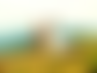 Newsletter 8/14/2024