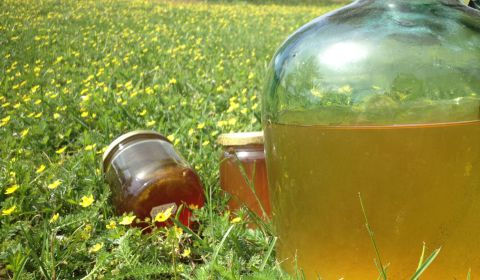 🍺 Faire de l'Hydromel