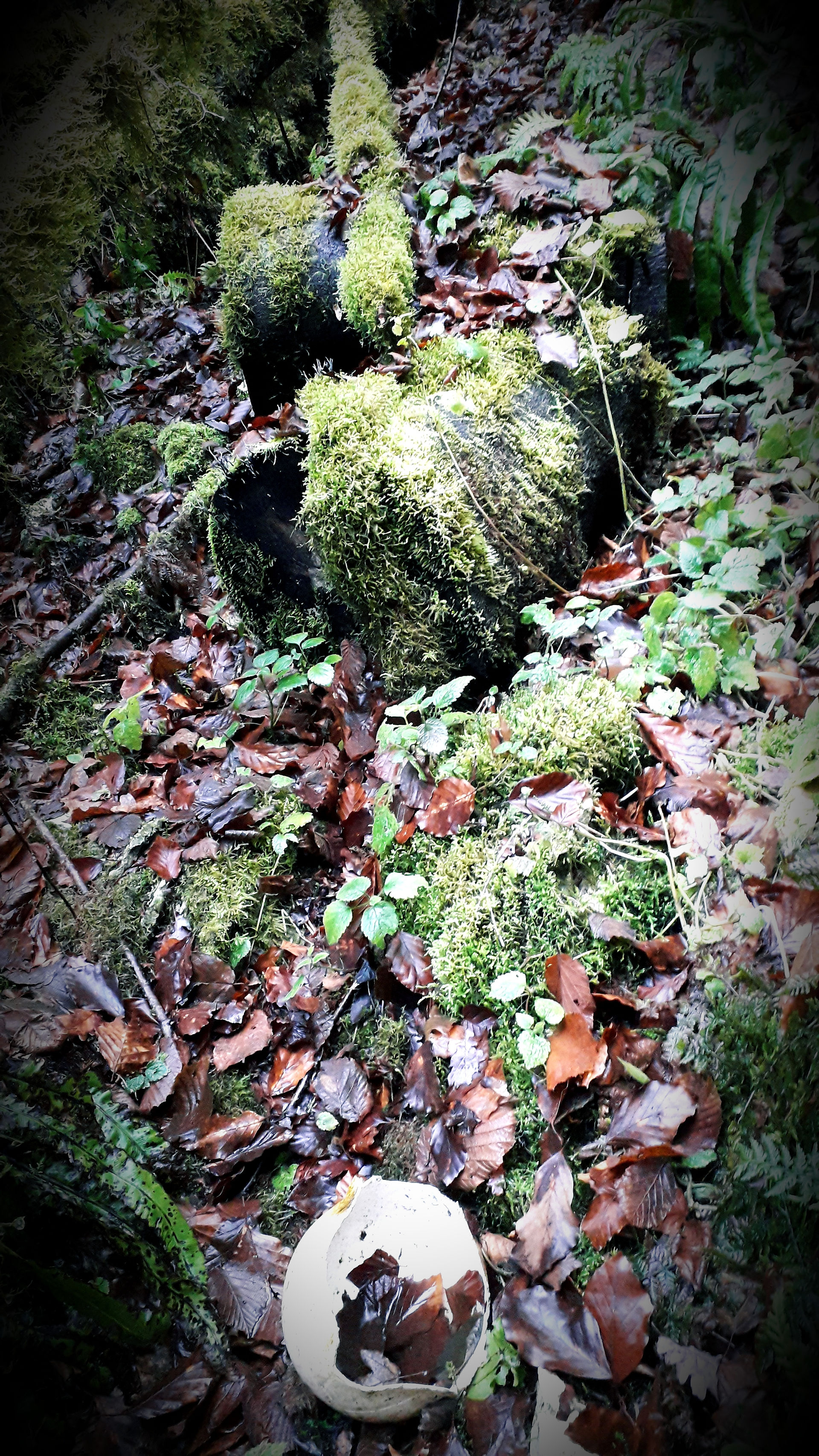 20190119_204420