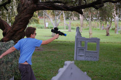 Birthday party ideas in Sarasota