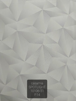 10106-31