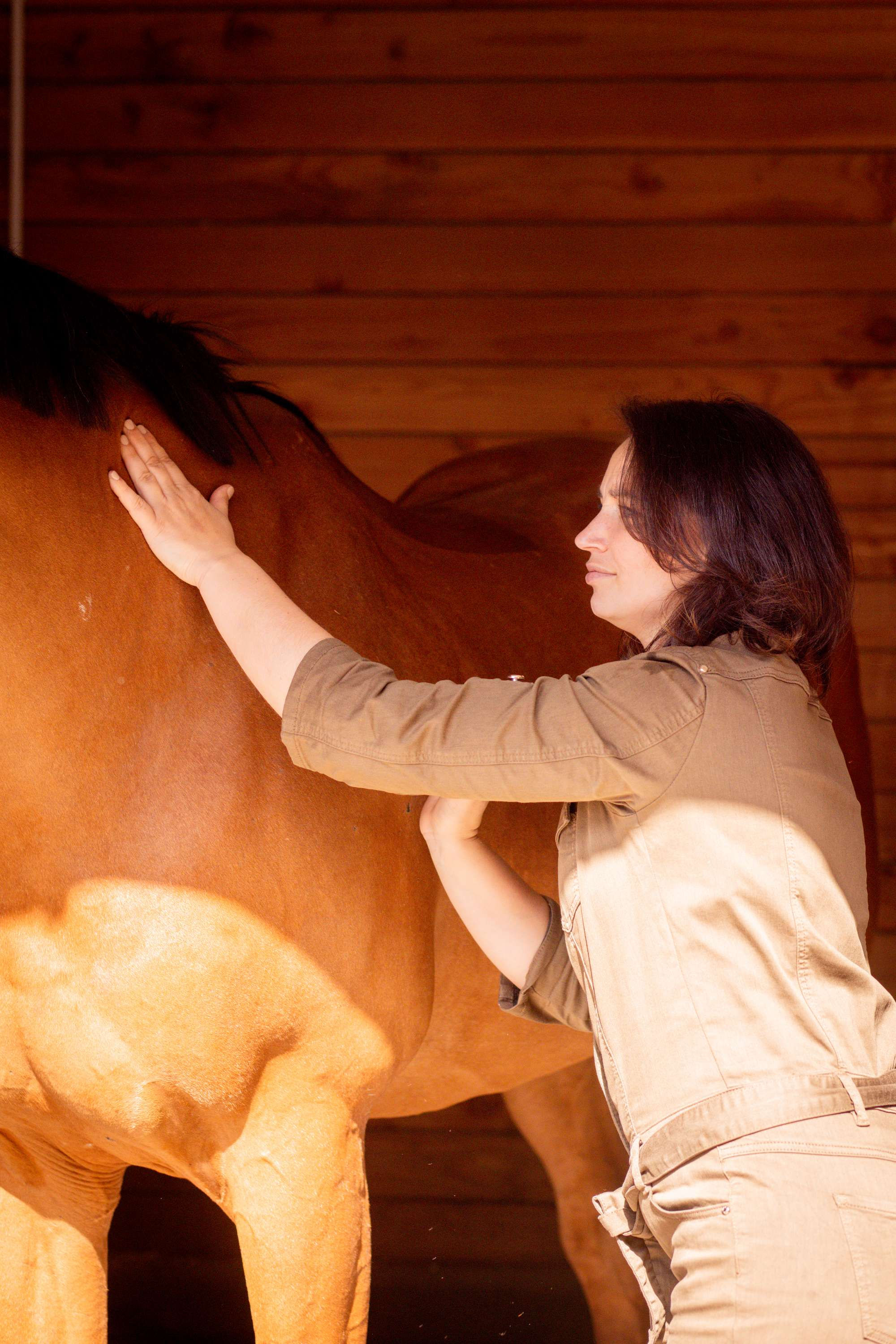 Cours particulier de massage avec son propre cheval
