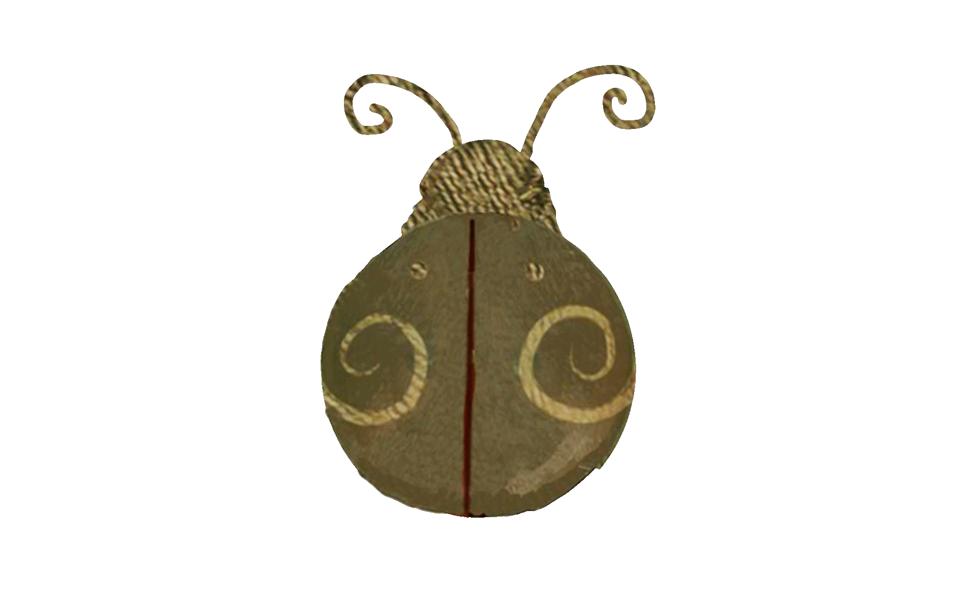 ao-ladybug.gif