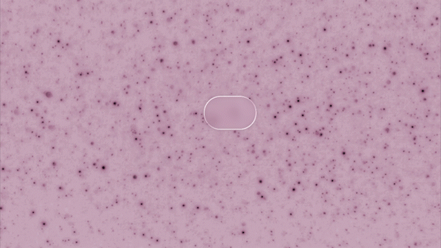 nudge 4.gif