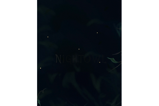 nightowl 7.gif