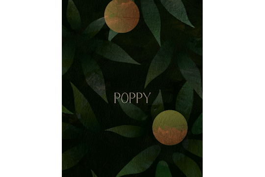 oranges 3.gif