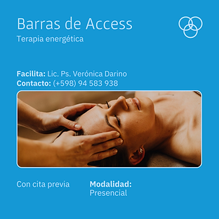 AH Barra de Accsess Verónica.png