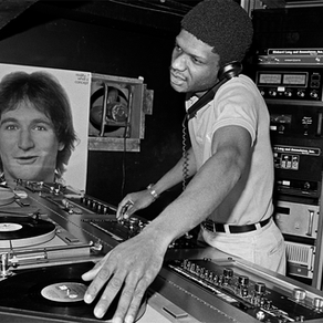 The Vinyl : It's Fall and Rise
