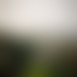 หมอกโอโซน สีขาว สะอาดสดชื่น