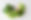 Green smoothie ingredients
