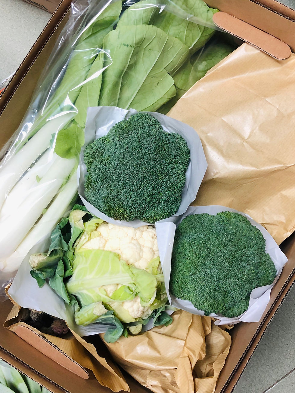 Thumbnail: Mini Veggie Box (Small)
