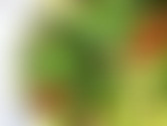 5 Foods That Can Naturally Clean Your Colon