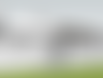 Extending - a family tail