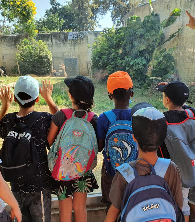 Children at the zoo looking through a glass window at one of the animal exhibits. All with hats and backpacks