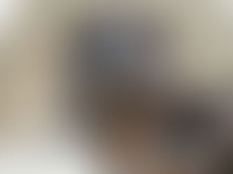 What’s a day on a dinosaur dig like?