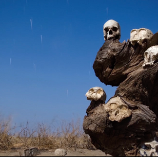 NEW! Koobi Fora Human Evolution Dig