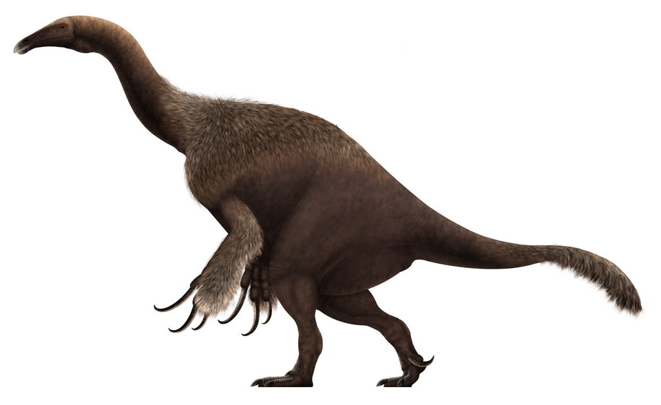Therizinosaurus by: PaleoNeolitic, CC BY 4.0 via Wikimedia Commons