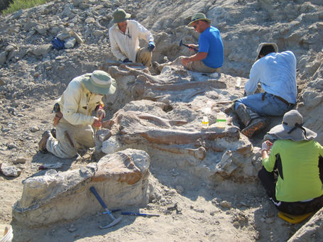 What to expect on a fossil and archaeology dig: Braving the elements.