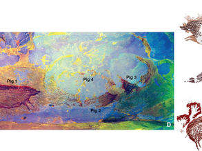 5 unique archaeological discoveries