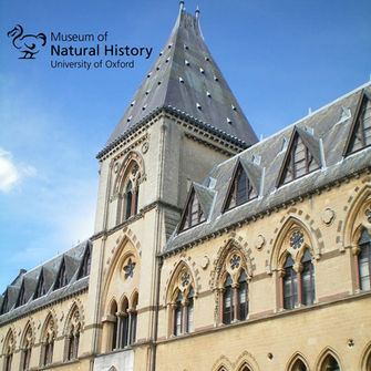 Oxford Museum of Natural History is a stop on the Ancient Odysseys' Jurassic Journey trip with Dean Lomax