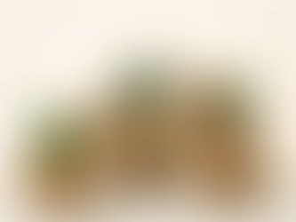 Top dinosaur & paleontology gifts 2022