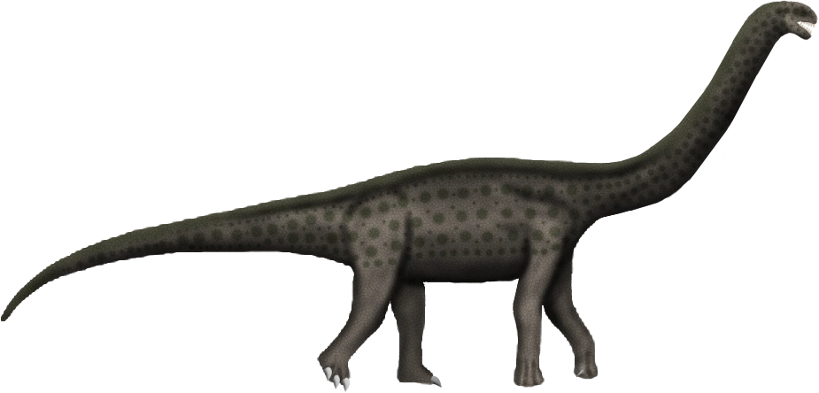 Top 10 list of dinosaurs found in Australia