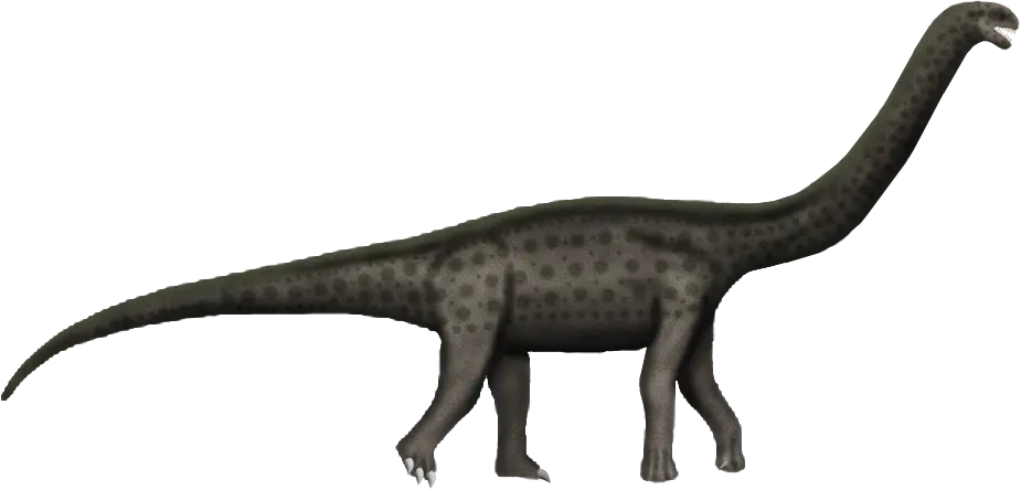 Top 10 list of dinosaurs found in Australia