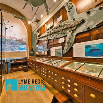 The Lyme Regis Museum is a stop on the Ancient Odysseys' Jurassic Journey trip with Dean Lomax
